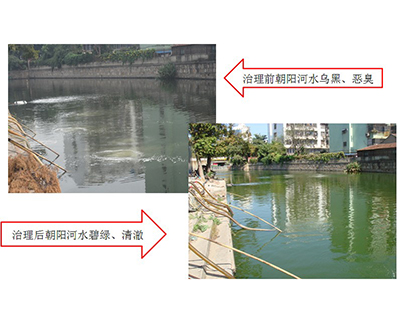 河道